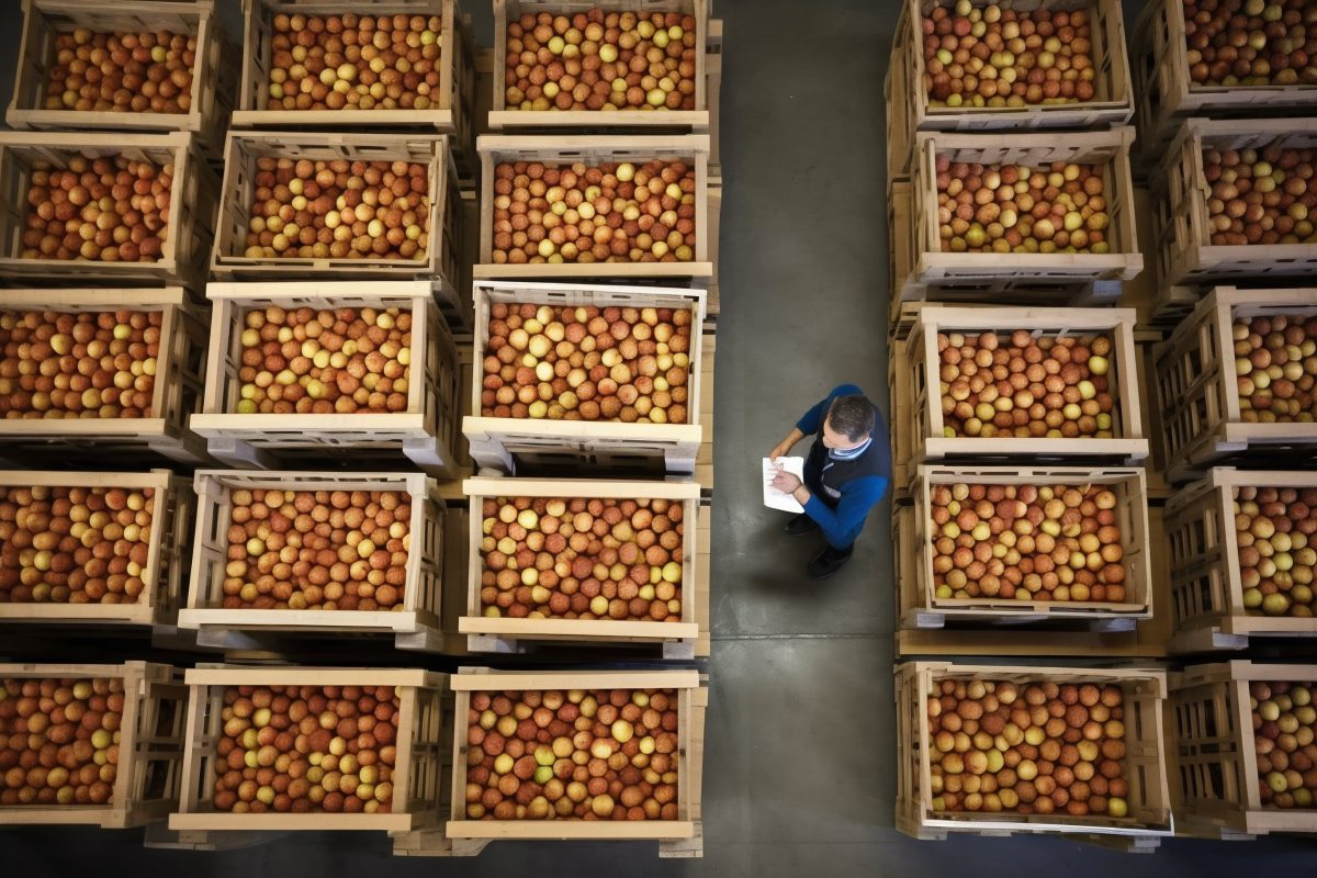 Apple farm worker