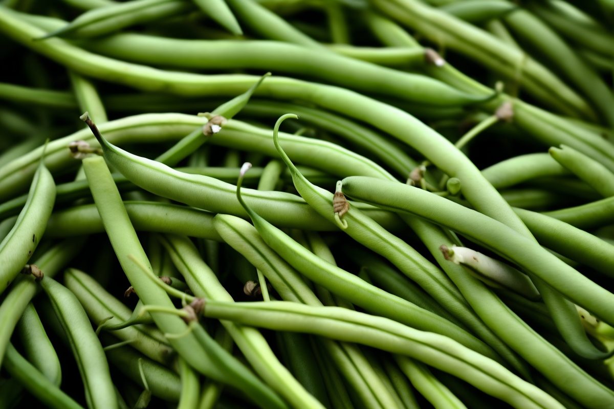 Fresh green beans
