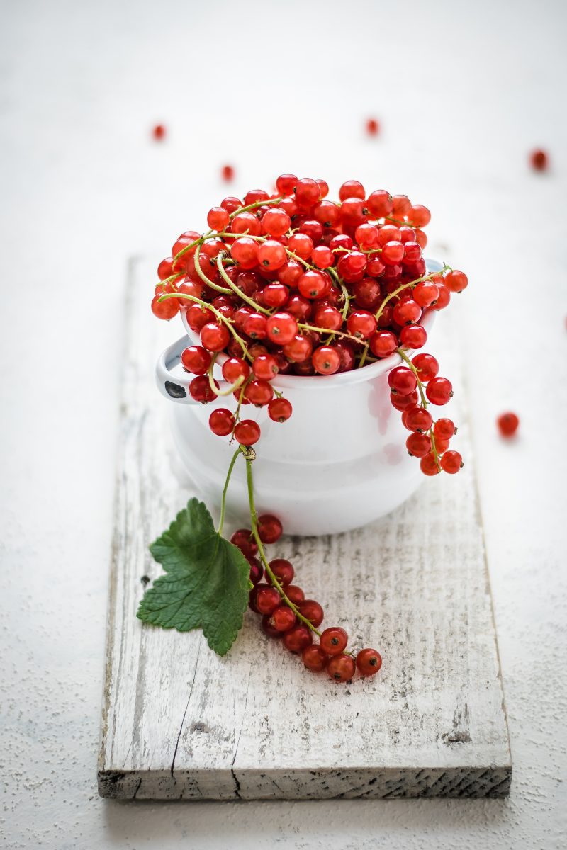 Red currant
