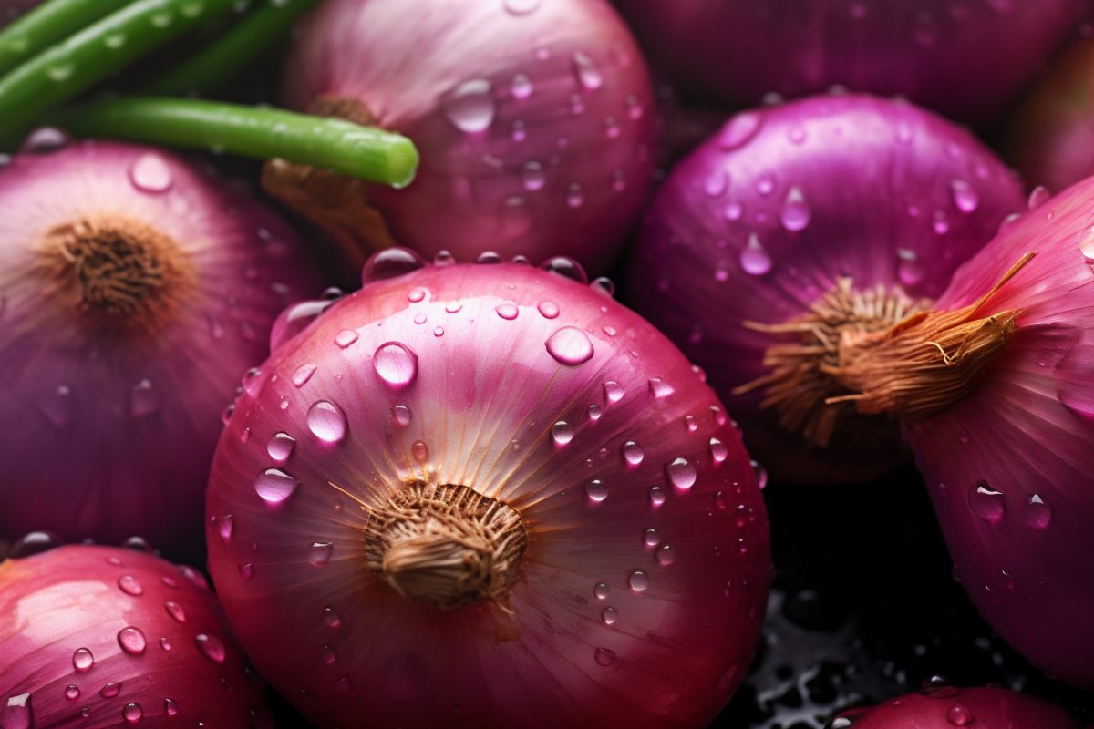 Red onions detail
