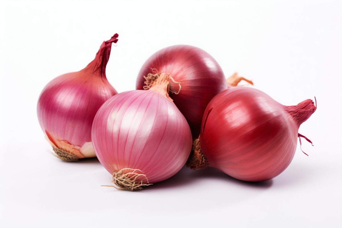 Red onions white background